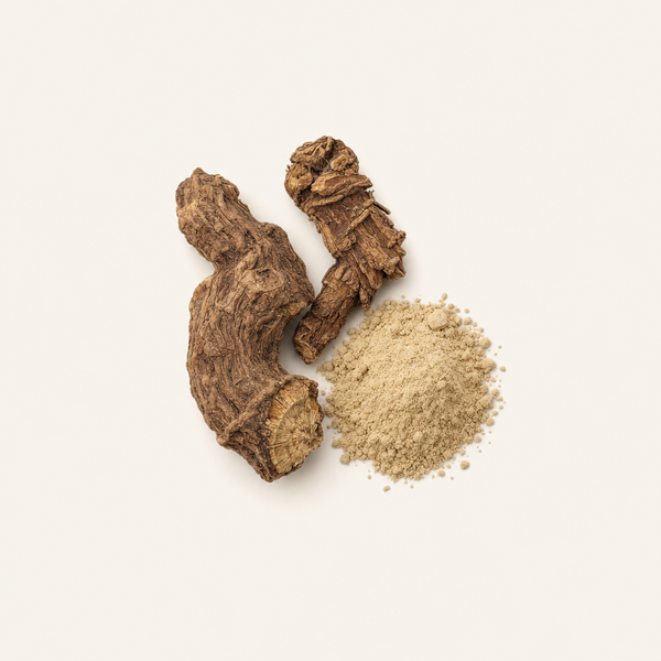 Extracto de raíz de Rhodiola rosea - Rhodiolife®
