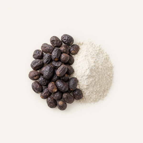 Extracto de fruto de palma enana americana (Serenoa repens) (45 % ácidos grasos)