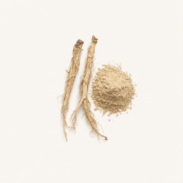 Extracto de raíz de ortiga mayor (Urtica dioica) 1 % beta‑sitosterol (HPLC)